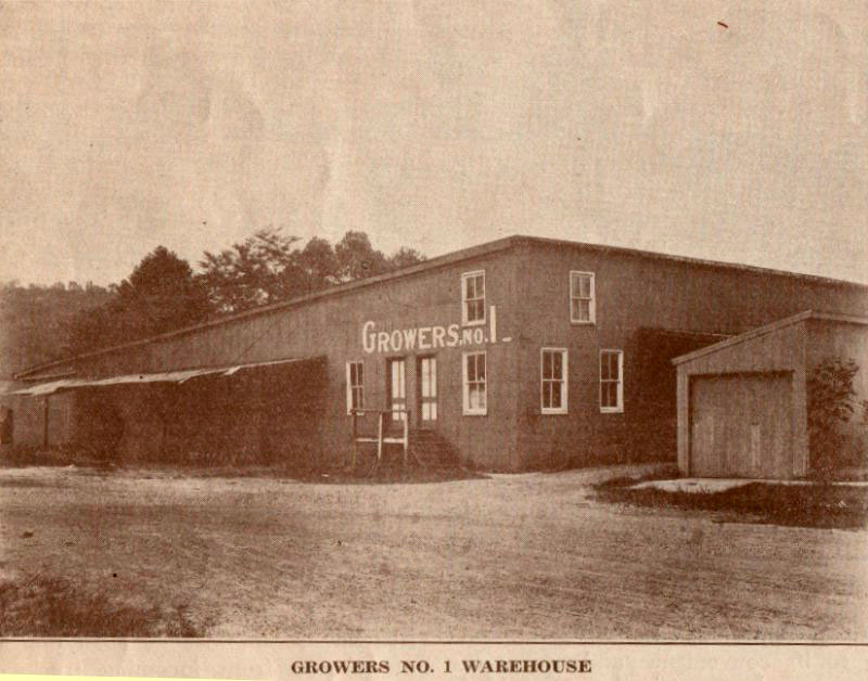 Growers #1 Tobacco Warehouse,  Maysville, Kentucky