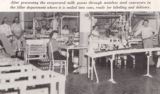 Maysville Business