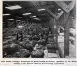 Mason County Tobacco 