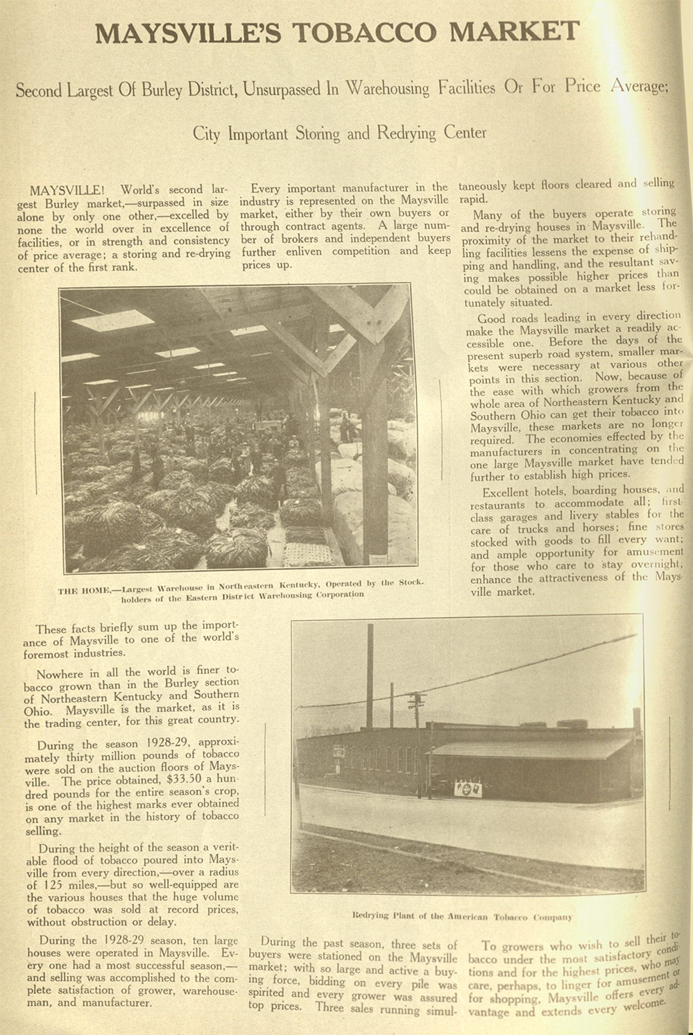 Tobacco Market